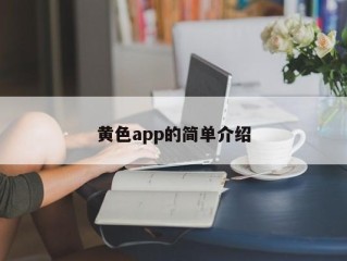 黄色app的简单介绍