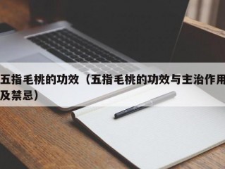 五指毛桃的功效（五指毛桃的功效与主治作用及禁忌）