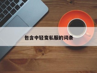 包含中轻变私服的词条