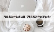 马克龙为什么来这里（马克龙为什么那么贵）