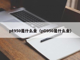 pt950是什么金（pD950是什么金）