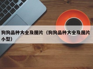 狗狗品种大全及图片（狗狗品种大全及图片 小型）