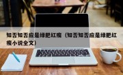 知否知否应是绿肥红瘦（知否知否应是绿肥红瘦小说全文）