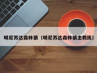 明尼苏达森林狼（明尼苏达森林狼主教练）