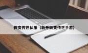 微变传世私服（新开微变传世手游）