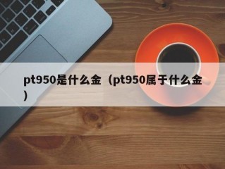 pt950是什么金（pt950属于什么金）