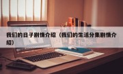 我们的日子剧情介绍（我们的生活分集剧情介绍）