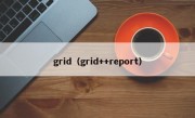 grid（grid++report）