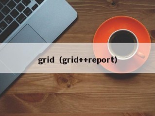 grid（grid++report）