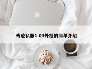 奇迹私服1.03外挂的简单介绍