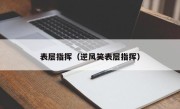 表层指挥（逆风笑表层指挥）