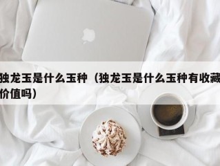 独龙玉是什么玉种（独龙玉是什么玉种有收藏价值吗）