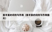 姜半夏的功效与作用（姜半夏的功效与作用图片）