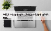 卢拉为什么急着访华（卢拉为什么急着访华的原因）