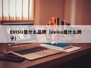 EVISU是什么品牌（evisu是什么牌子）