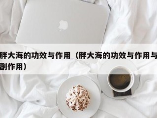 胖大海的功效与作用（胖大海的功效与作用与副作用）