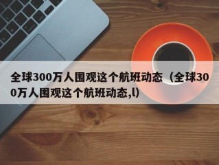 全球300万人围观这个航班动态（全球300万人围观这个航班动态,l）