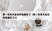 第一生育大省也开始催生了（第一生育大省也开始催生了1）