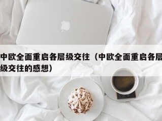 中欧全面重启各层级交往（中欧全面重启各层级交往的感想）