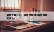 魔兽世界3.13（魔兽世界313毁伤贼输出手法）