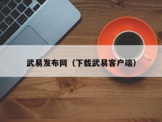 武易发布网（下载武易客户端）