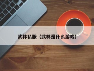 武林私服（武林是什么游戏）