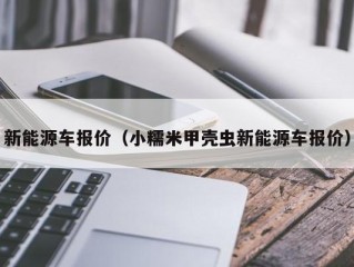 新能源车报价（小糯米甲壳虫新能源车报价）