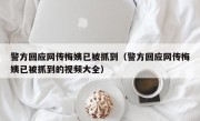 警方回应网传梅姨已被抓到（警方回应网传梅姨已被抓到的视频大全）