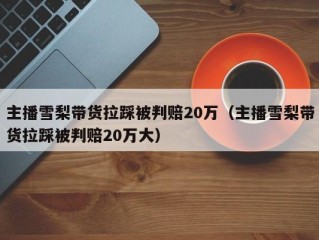 主播雪梨带货拉踩被判赔20万（主播雪梨带货拉踩被判赔20万大）