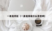 一条龙开区（一条龙项目什么意思啊）