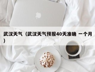 武汉天气（武汉天气预报40天准确 一个月）