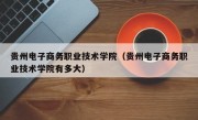 贵州电子商务职业技术学院（贵州电子商务职业技术学院有多大）