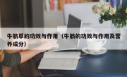 牛筋草的功效与作用（牛筋的功效与作用及营养成分）