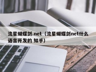 流星蝴蝶剑.net（流星蝴蝶剑net什么语言开发的 知乎）