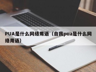 PUA是什么网络用语（自我pua是什么网络用语）