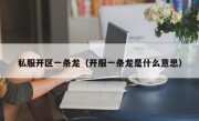 私服开区一条龙（开服一条龙是什么意思）