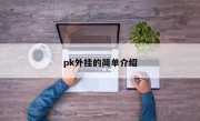 pk外挂的简单介绍