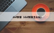 dnf刺客（dnf刺客怎么玩）