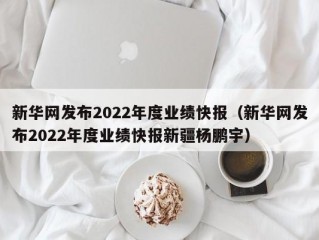 新华网发布2022年度业绩快报（新华网发布2022年度业绩快报新疆杨鹏宇）