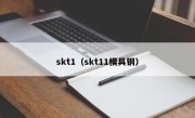 skt1（skt11模具钢）