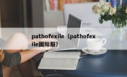 pathofexile（pathofexile国际服）