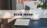 霸王私服（霸王端游）