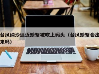 台风纳沙逼近螃蟹被吹上码头（台风螃蟹会出来吗）