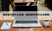 编程是学些什么东西（编程是学些什么东西他）