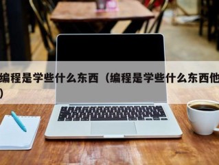 编程是学些什么东西（编程是学些什么东西他）