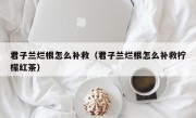 君子兰烂根怎么补救（君子兰烂根怎么补救柠檬红茶）