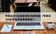 专家谈350亿氢能项目:侮辱智商（专家谈350亿氢能项目侮辱智商!）