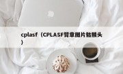 cplasf（CPLASF臂章图片骷髅头）