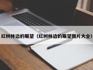 红树林边的瞩望（红树林边的瞩望图片大全）