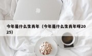 今年是什么生肖年（今年是什么生肖年呀2025）